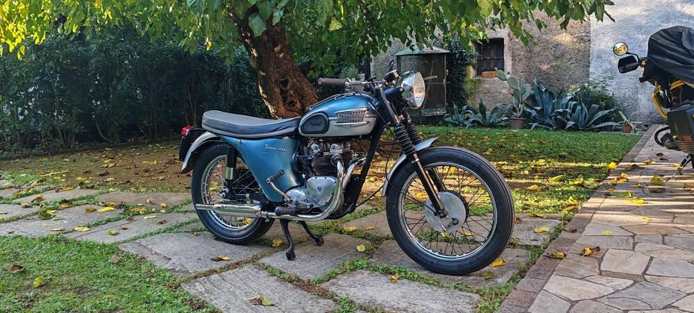 Triumph T100ss  (3)