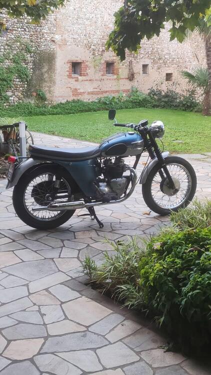 Triumph T100ss  (4)