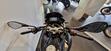 Bmw G 310 GS (2021 - 25) (7)