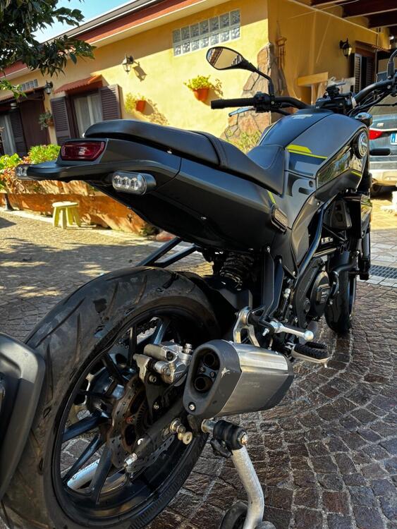 Benelli Leoncino 250 (2021 - 24) (4)