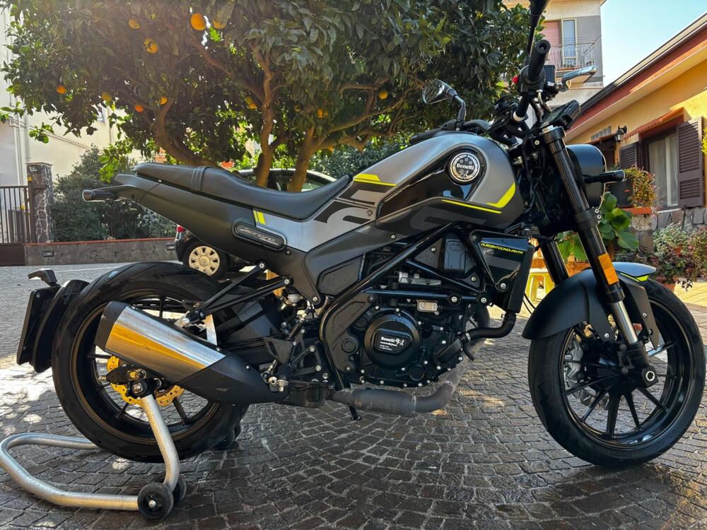 Benelli Leoncino 250 (2021 - 24) (5)