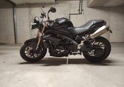 Triumph Speed Triple 1050 (2011 - 13) usata