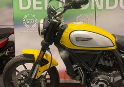 Ducati Scrambler 800 Icon (2021 - 22) usata