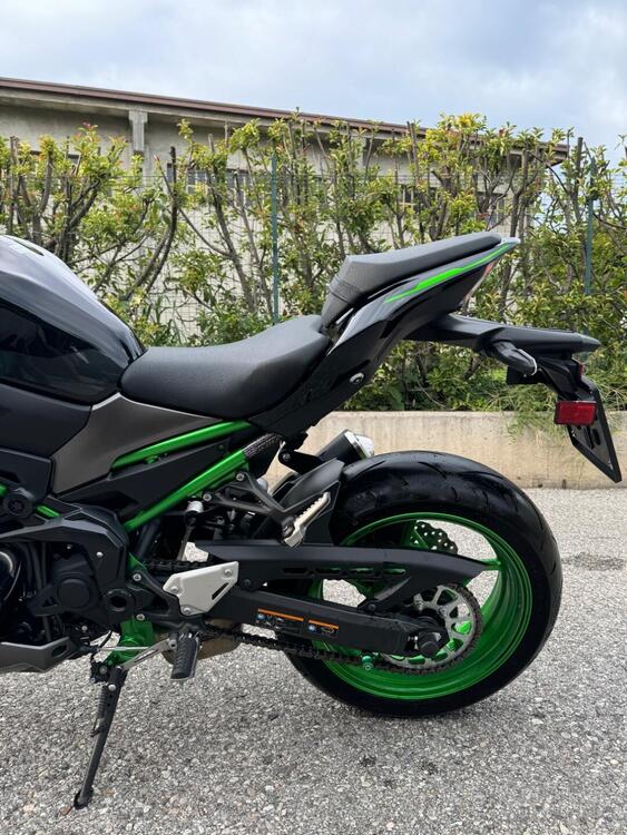 Kawasaki Z 900 Performance (2021 - 24) (3)