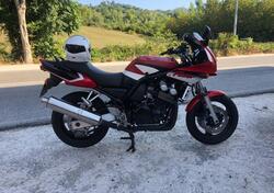 Yamaha FZS 600 Fazer (2002 - 03) usata