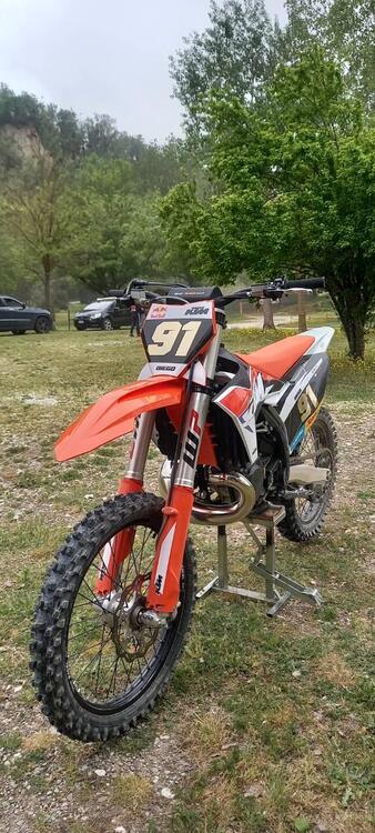 KTM SX 300 (2023) (2)