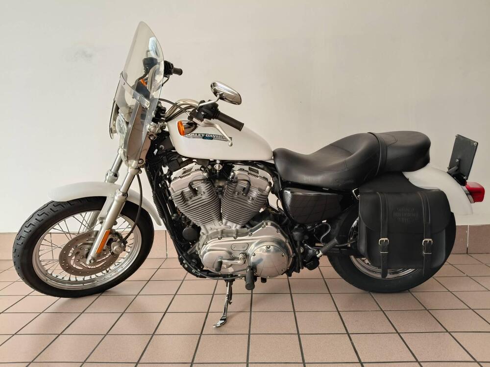 Harley-Davidson 883 Low (2006 - 07) - XL 883L (2)