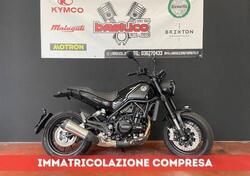 Benelli Leoncino 500 (2021 - 24) nuova