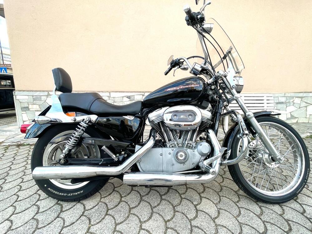 Harley-Davidson 883 Custom (2001 - 05) - XL 53C (2)