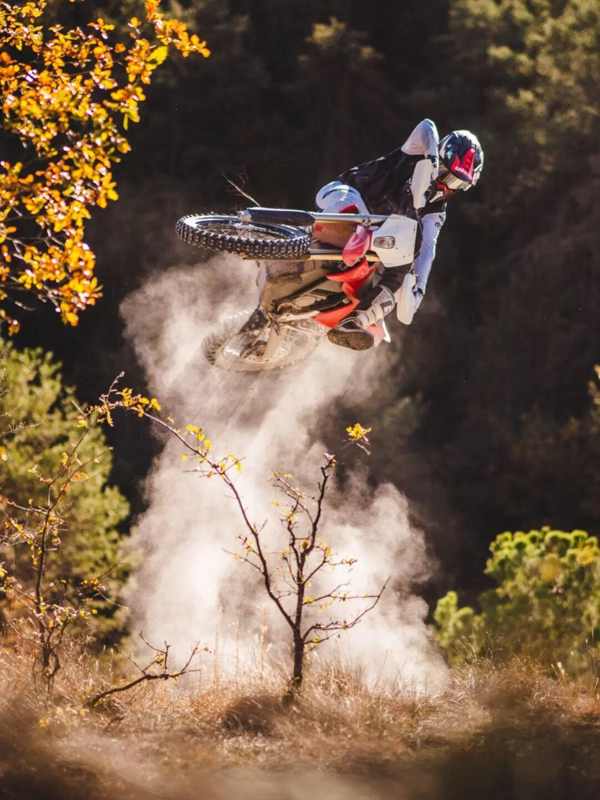 Stark Future presenta la Stark Varg EX: la moto da enduro elettrica (7)