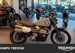 Triumph Scrambler 1200 X (2024) usata