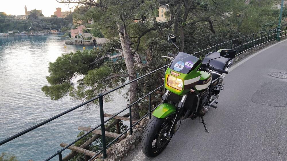 Kawasaki ZRX 1200 R (3)