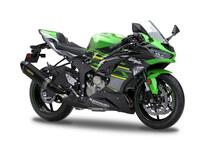 Kawasaki Ninja 636 ZX-6R Performance (2019 - 20)