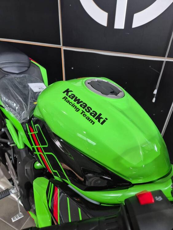 Kawasaki Ninja 125 (2021 - 24) (4)