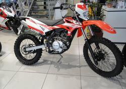 Betamotor RR 125 4T Enduro AC (2016) usata