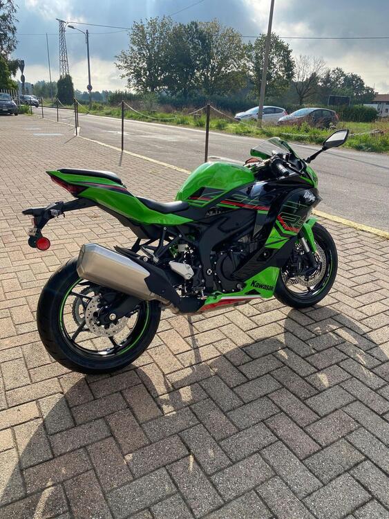 Kawasaki Ninja ZX-4RR (2024 - 25) (4)