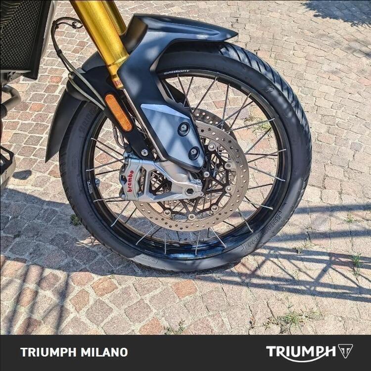 Triumph Tiger 900 Rally Pro (2020 - 23) (4)