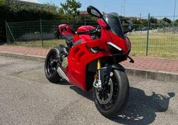 Ducati Panigale V4 S (2022 - 24) usata