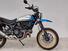 Ducati Scrambler 800 Desert Sled (2021 - 22) (8)