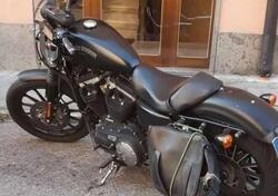 Harley-Davidson 883 Iron (2012 - 14) - XL 883N usata