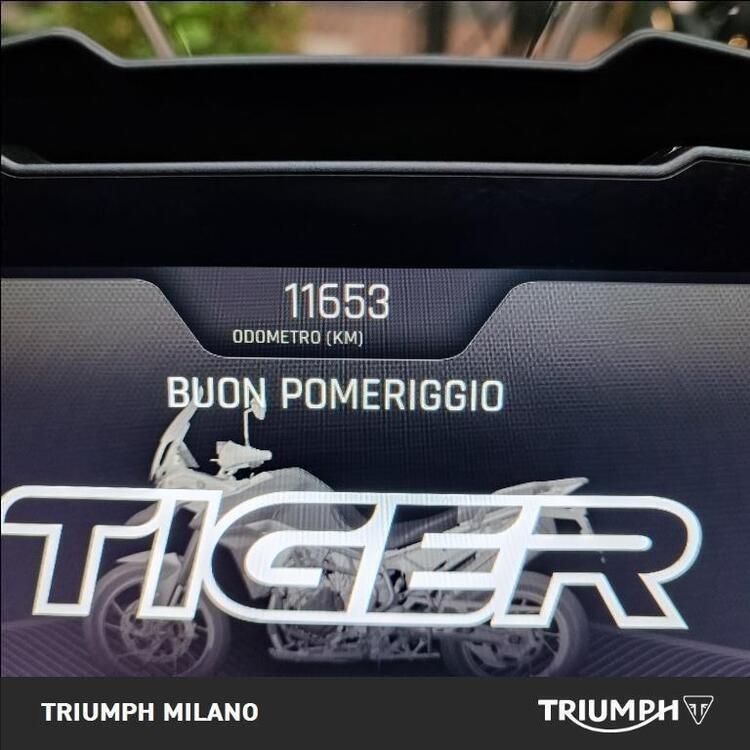 Triumph Tiger 900 GT Pro (2020 - 23) (5)