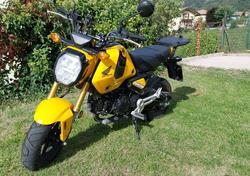 Honda MSX 125 Grom (2021 - 24) usata