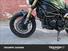 Benelli Leoncino 800 Trail (2022 - 24) (12)