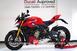 Ducati Streetfighter V4 S (2023 - 24) (7)