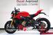 Ducati Streetfighter V4 S (2023 - 24) (8)