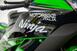 Kawasaki Ninja 1000 ZX-10R (2017 - 18) (11)