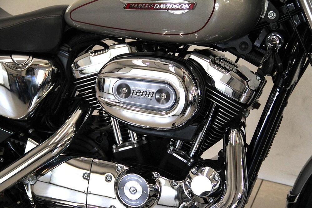 Harley-Davidson 1200 Custom (2007 - 13) - XL 1200C (5)