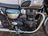 Triumph Bonneville T100 Gold Line Edition (2022) (8)