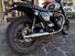 Triumph Bonneville T100 Gold Line Edition (2022) (12)