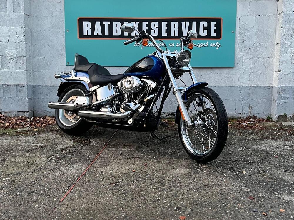 Harley-Davidson 1584 Custom (2008 - 09) - FXSTC (2)