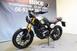 Triumph Scrambler 400 X (2024) (14)