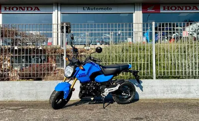 Honda MSX 125 Grom (2021 - 26) nuova