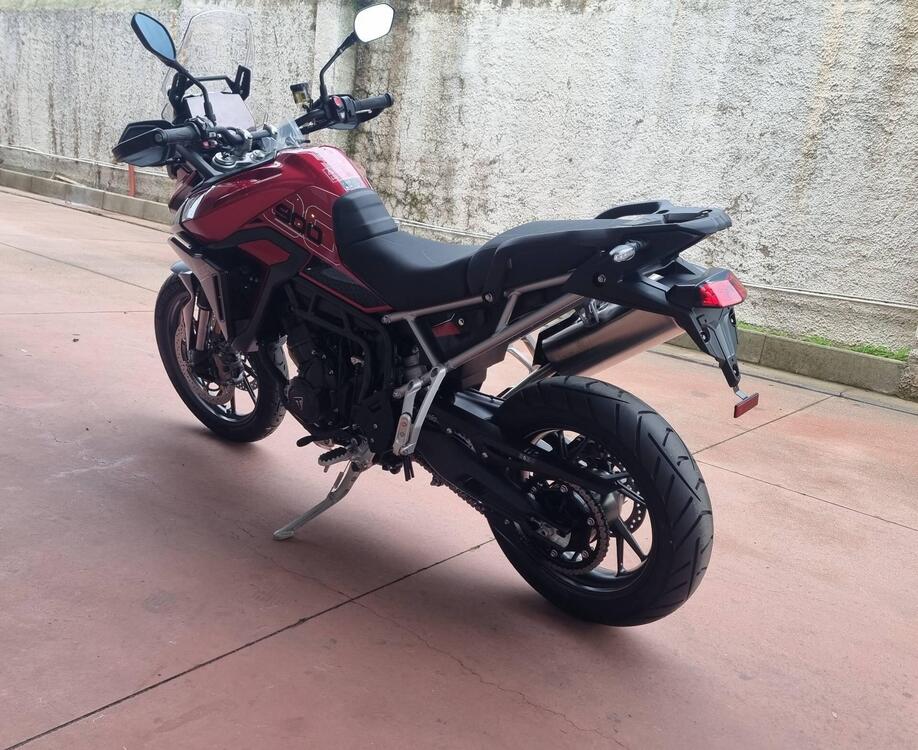 Triumph Tiger 900 GT (2024) (5)