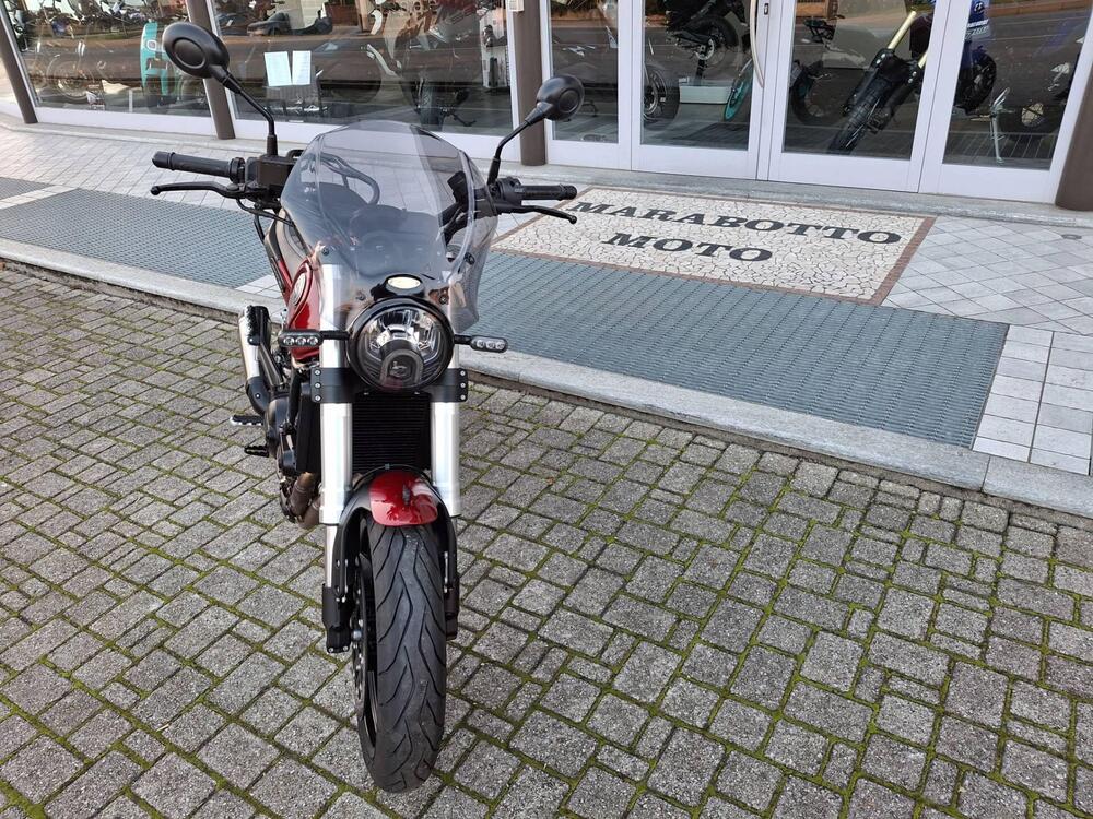 Benelli Leoncino 500 (2021 - 24) (2)