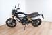 Ducati Scrambler 1100 (2018 - 20) (6)