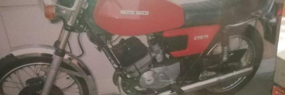 Moto Guzzi Ts fumo (2)