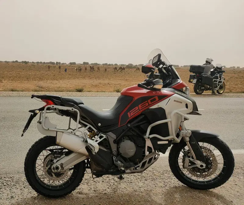 Ducati Multistrada 1260 Enduro (2019 - 21) (2)