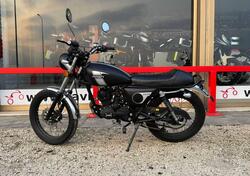 Mash Italia Fifty 50 (2021 - 24) usata