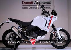 Ducati DesertX (2022 - 24) usata