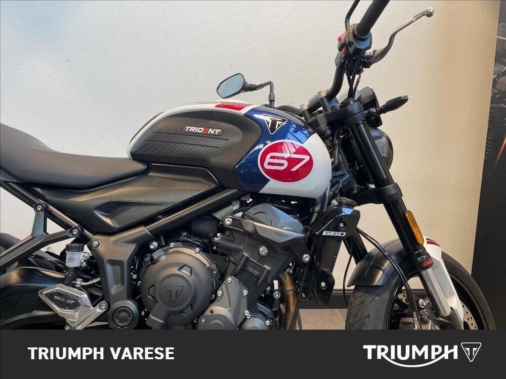 Triumph Trident 660 Triple Tribute Edition (2024) (5)