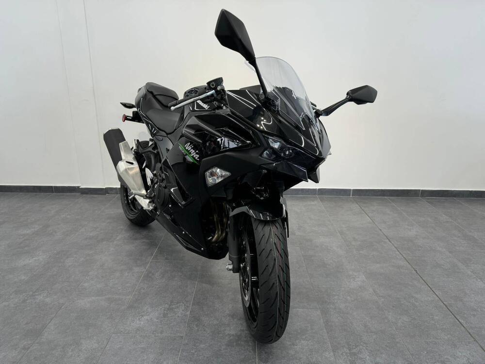 Kawasaki Ninja 500 (2024 - 25)