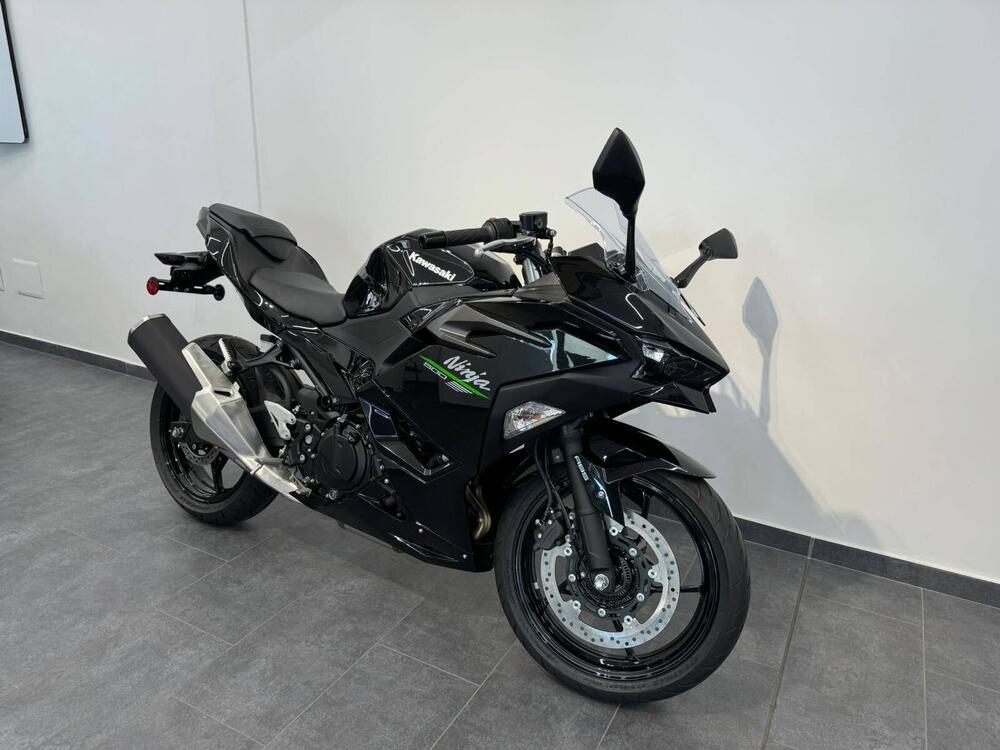 Kawasaki Ninja 500 (2024 - 25) (3)