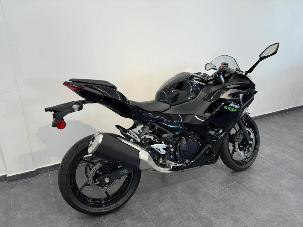 Kawasaki Ninja 500 (2024 - 25) (4)