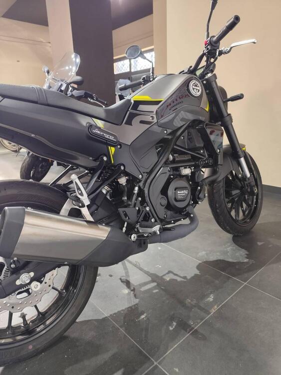 Benelli Leoncino 250 (2021 - 24) (4)