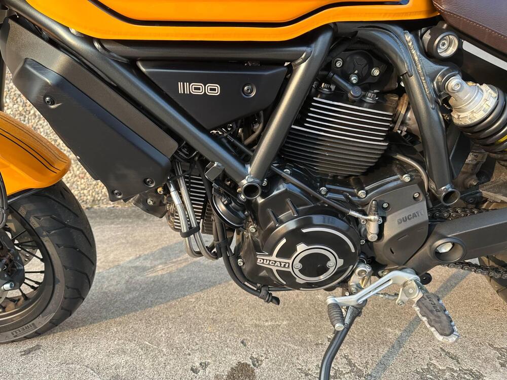 Ducati Scrambler 1100 Tribute Pro (2022 - 24) (5)