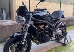 Triumph Speed Triple 955 (2002 - 04) usata